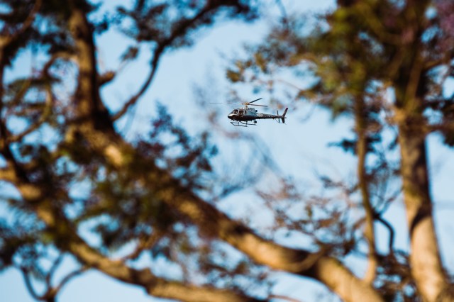 20170526Shooting-0016