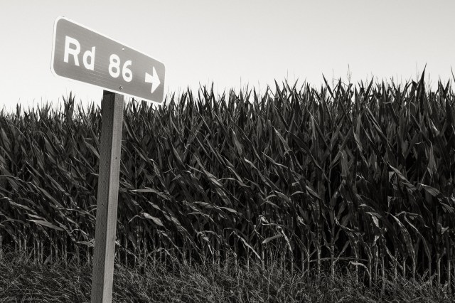 20170813Sequoia - Hume Lake-0008