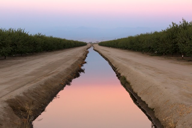 20170813Sequoia - Hume Lake-0010